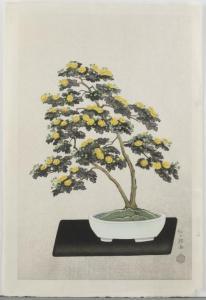 ITO Nisaburo 1910-1988,Bonsai Chrysanthemum,20th century,Quinn & Farmer US 2018-04-12