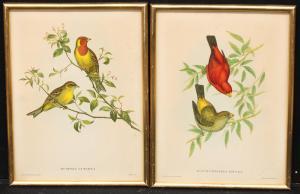 J. GOULD # H.C. RICHTER,ornithological subjects,Bamfords Auctioneers and Valuers GB 2022-07-27