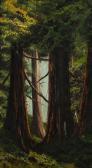 J SCOTT Edward 1863-1926,Redwood forest with dense underbrush,John Moran Auctioneers US 2018-08-21
