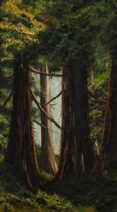 J SCOTT Edward 1863-1926,Redwood forest with dense underbrush,John Moran Auctioneers US 2019-01-13
