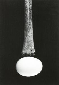 JACHNA Joseph David 1935-2016,Still Life (Bone on Egg),1968,Clars Auction Gallery US 2020-02-23