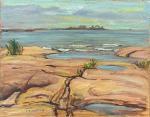 Jackson Andrew Alexander Young,View of South Pine Isl, Go Home Bay,Lando Art Auction 2021-05-16