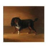 JACKSON Gerald Goddard,PORTRAIT OF A CAVALIER KING CHARLES SPANIEL,1838,William Doyle 2003-02-11