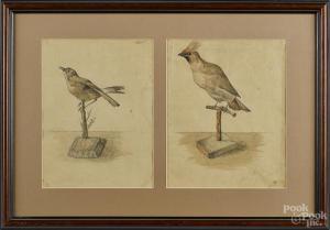 JAIBURG Judina 1898,Bird,Pook & Pook US 2015-04-27