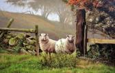 JAMES Paul 1961,sheep in a field,Richard Winterton GB 2018-02-13
