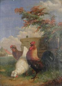 JANSSENS V 1800-1800,Haan en kippen bij de hoeve,Bernaerts BE 2011-06-20