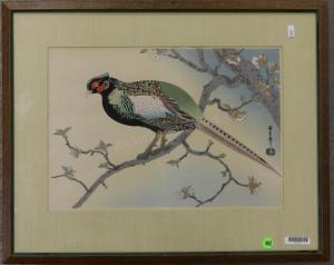 JAPANESE SCHOOL (XX),exotic bird,Wickliff & Associates US 2015-06-27