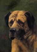 Jay J.A.B 1878-1880,Old Champion Turk, a mastiff,1881,Woolley & Wallis GB 2018-03-07