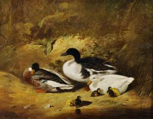 JEANMAIRE Edouard,Ducks with their Young, on the Banks of a River,John Nicholson 2019-11-27