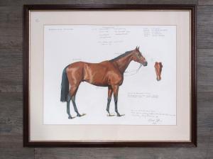 JEFFREY MICHAEL 1965,race horse "Holding Court",2000,TW Gaze GB 2022-05-05