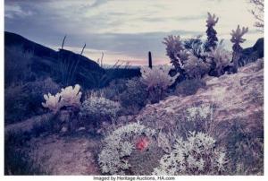 JENSCHEL Len 1949,Saguaro National Monument, Arizona,1986,Heritage US 2021-09-08