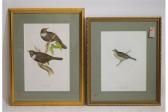JOHN AND ELIZABETH GOULD,Ring Ouzel and Common Bunting,Hartleys Auctioneers and Valuers 2015-12-02