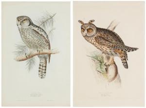 JOHN AND ELIZABETH GOULD 1800,The Birds of Europe,1832/37,John Moran Auctioneers US 2024-04-10