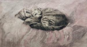 JOHN Gwendolen 1876-1939,Tabby Cat Sleeping,David Duggleby Limited GB 2024-03-15