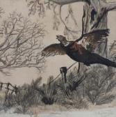JOHN Marly,Pheasant in flight,Peter Wilson GB 2011-07-05
