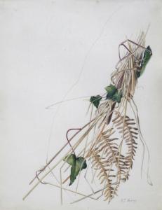 JOHN Rebecca 1947,From the hedgerow Ty Draw,Woolley & Wallis GB 2014-03-19