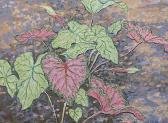 JOHNSON Brett,Caladiums,1984,Aspire Auction US 2015-10-31