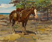 JOHNSON Frank Tenney 1874-1939,Blazed-face pony,1930,Bonhams GB 2012-05-01