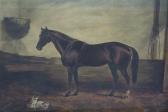 JOHNSON Louisa 1800-1800,Portrait of a horse in a stable with two cats,1873,Gorringes GB 2010-03-24