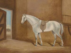 JOHNSON WATSON,A saddled grey in a stable,1844,Christie's GB 2003-11-27