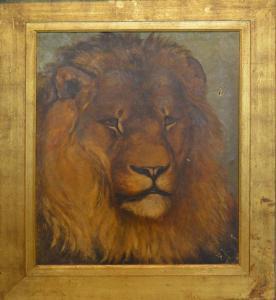 JOHNSTON Harry Hamilton 1858-1927,Head Study of a Lion,1876,Jacobs & Hunt GB 2019-11-01
