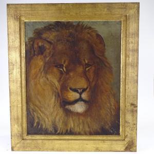 JOHNSTON Harry Hamilton 1858-1927,lion,Burstow and Hewett GB 2020-09-16