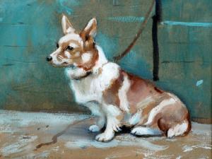 johnston w. miles,Portrait of a Corgi,Capes Dunn GB 2009-09-08