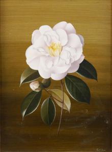 JONES Paul 1921-1997,Camellia,Bellmans Fine Art Auctioneers GB 2023-08-01