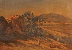 JOSE Marie Velasco 1840-1912,Figure in a Mexican Landscape,William Doyle US 2007-11-07