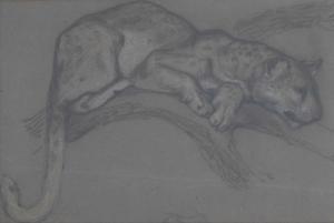 JOYCE Richard 1900-1900,Study of a cougar,Clevedon Salerooms GB 2024-02-22