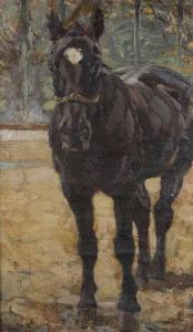 JUNGHANNS Julius Paul 1876-1958,Rappe mit Zaumzeug,1896,Peter Karbstein DE 2024-03-16