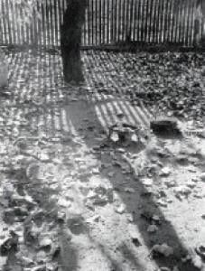 KACZUR Pál 1900-1900,Leaves are Falling,1937,Kieselbach HU 2007-05-19