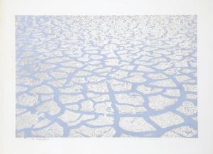 KADISHMAN Menashe 1932-2015,Silver Earth,1979,Ro Gallery US 2024-04-04