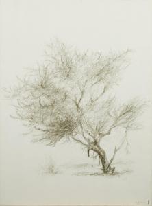 KAISER Raffi 1931,L'arbre,1999,Mercier & Cie FR 2022-03-05