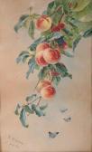 KALEPDJIAN R 1900-1900,Still Life with Hanging Peaches,1926,John Nicholson GB 2014-05-28