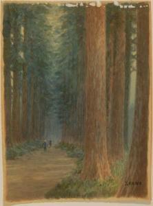 KANO Y,Depicting figures walking on a forest path,Eldred's US 2009-08-25