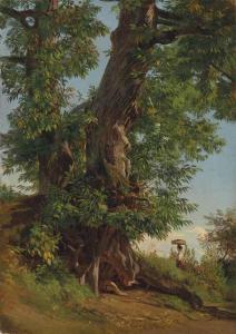 KANOLDT EDMUND FRIEDRICH 1839-1904,Étude d’’arbre,Christie's GB 2016-09-14