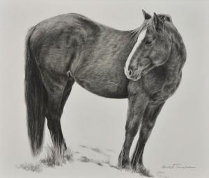 Karmel Timmons,Mustang Winter,Altermann Gallery US 2012-03-30