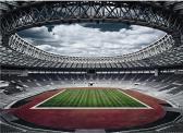 KASPERS RALF 1957,Luzhniki Stadium, Moscow,2008,Phillips, De Pury & Luxembourg US 2011-10-13