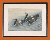 KATAKAWA H,A JAPANESE PAINTING OF DUCKS,Christie's GB 2004-06-03