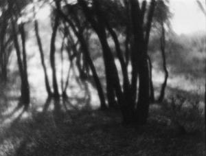 KATO Tazo 1900-1900,Untitled (Trees),1920,Christie's GB 2001-11-13