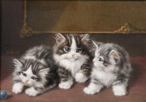 KATZEN FLURY Burkhard 1862-1928,Drei Katzenkinder Gruppe von junge Kätzchen,Mehlis DE 2018-05-24