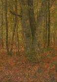 KAVANAUGH John 1853-1898,Forest Landscape,1884,Rachel Davis US 2017-03-25