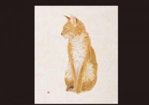 KAWAMATA Yukikazu,Mountain cat,Mainichi Auction JP 2009-09-02