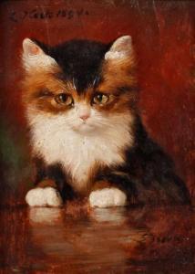 KECK Emil 1867-1935,Katzenportrait drolliges junges Kätzchen vor rotem Grund,Mehlis DE 2018-08-23