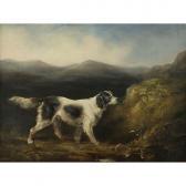KEITH H,Setter on the Moors,1886,William Doyle US 2009-03-24