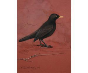 KELLY Chloe E. Talbot 1927,Blackbird,2009,Keys GB 2014-09-05