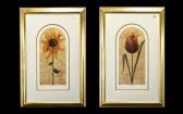KELLY Jane, Lady 1800-1900,Treasured Tulip - Secret Sunflower,Gerrards GB 2019-11-07