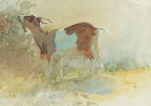 KEMP WELCH Lucy Elizabeth 1869-1958,A goat feeding,Bellmans Fine Art Auctioneers GB 2024-03-28