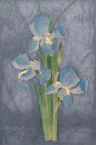 KENNARD Waldo,Study of Irises,Burchard US 2010-11-21